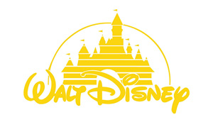 上海迪斯尼-飞瑞客户